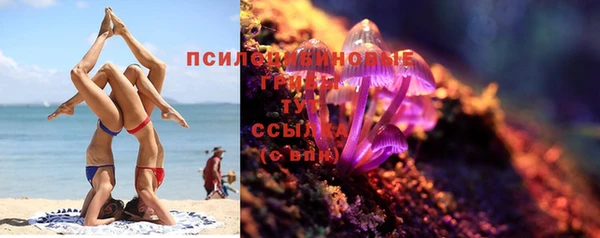 spice Гусиноозёрск