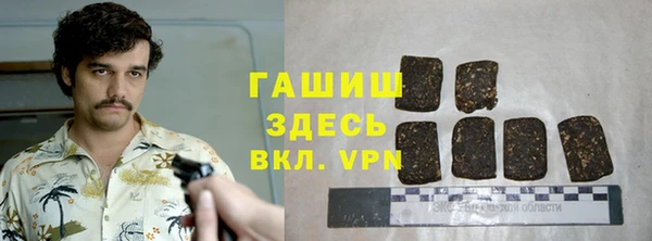 метадон Гусев