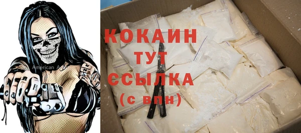 spice Гусиноозёрск