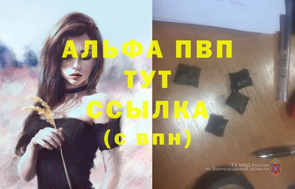 метадон Гусев