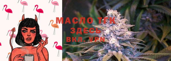 метадон Гусев