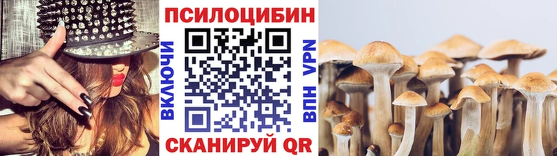 Купить  Мышкин  Псилоцибиновые грибы GOLDEN TEACHER 